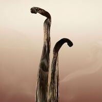 BURBERRY GODDESS  100ml-218285 BURBERRY GODDESS  100ml-218285 4